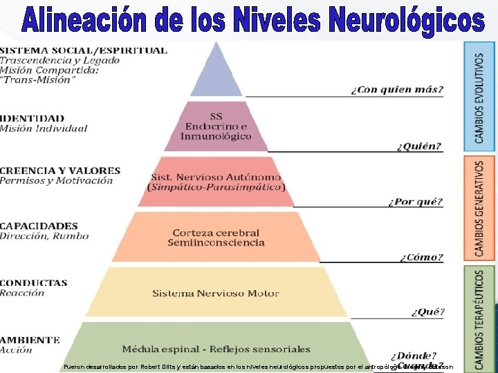 La Intención Positiva. Una Visión Holística.